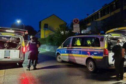 NGARJE E rëndë/ Gjermani vr*t 28-vjeçaren shqiptare dhe e hedh në pyll...