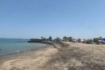 Gjyshi ngacmoi vjazën në plazh, mbesa e tij bënë REAGIMIN E PAPRITUR 'Më vjen shumë keq për...'