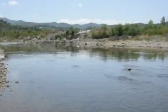DETAJE nga TRAGJEDIA/ Dy vikt*mat e mitur ishin vëllezër NJERI 8 VJEC tjetri vetem...U futën në lumë së bashku me nënën e tyre!