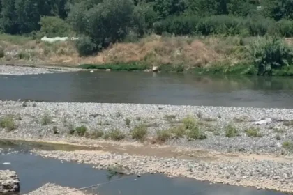 Si dy engjëj/ Del fotoja, këto janë dy vëllezërit e m*tur që u mbytën në lumin e Shkumbinit