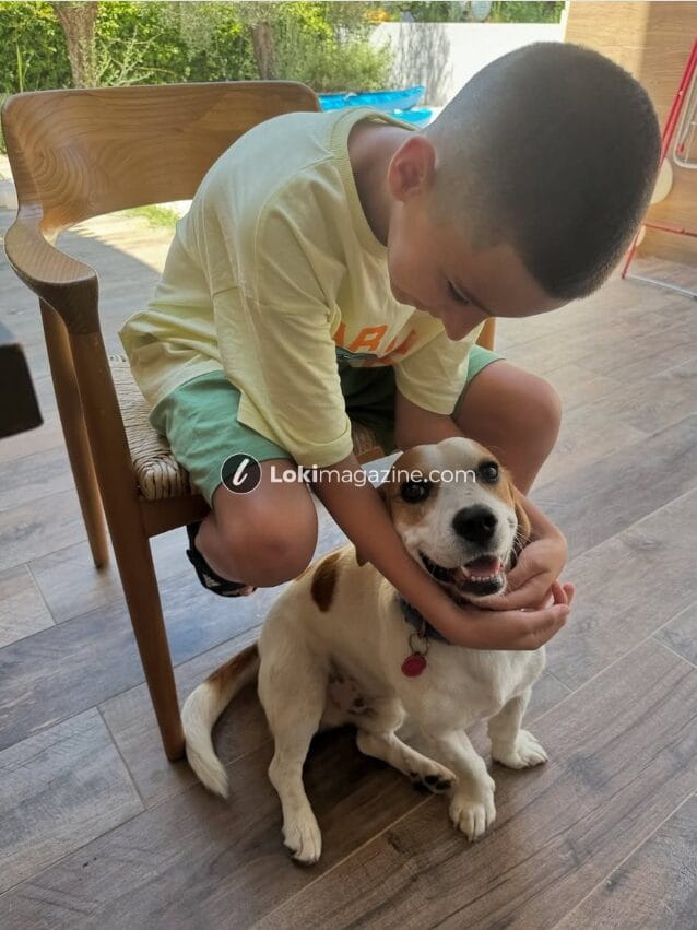 Çfarë po ndodh mes Bora Zemanit dhe Donald Veshajt?